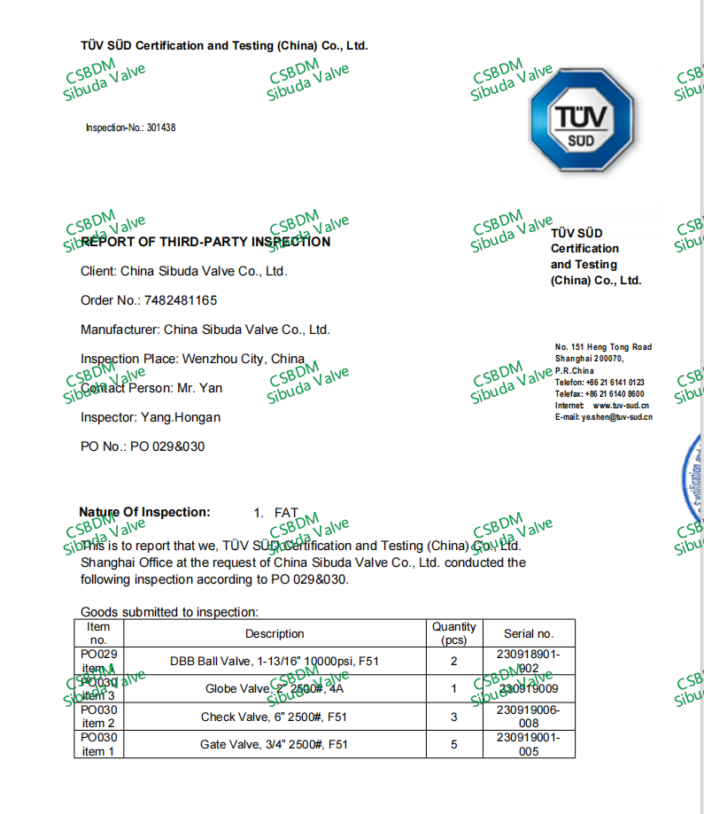 TUV_FTA-Отчёт_по_Инспекции_Третьей_Стороны